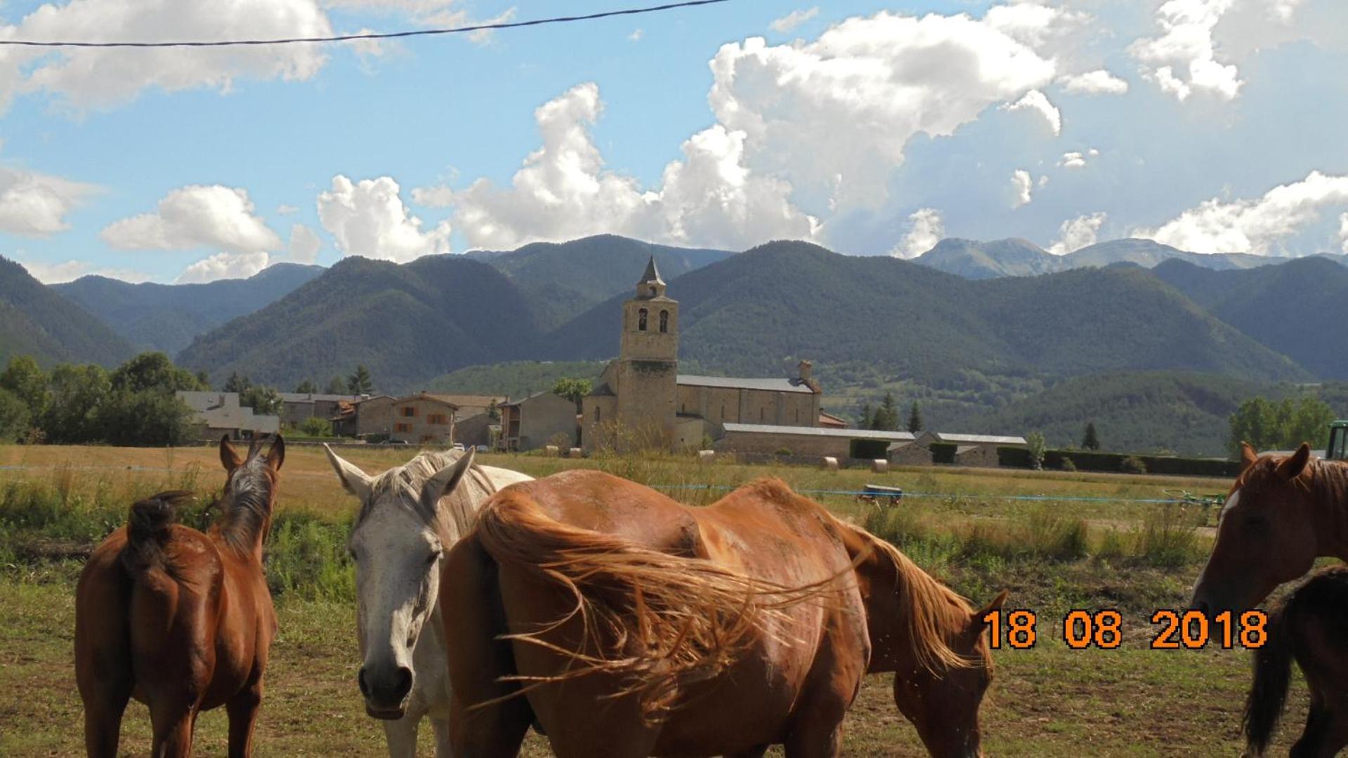 Can Vall Bellver Bellver De Cerdanya Buitenkant foto